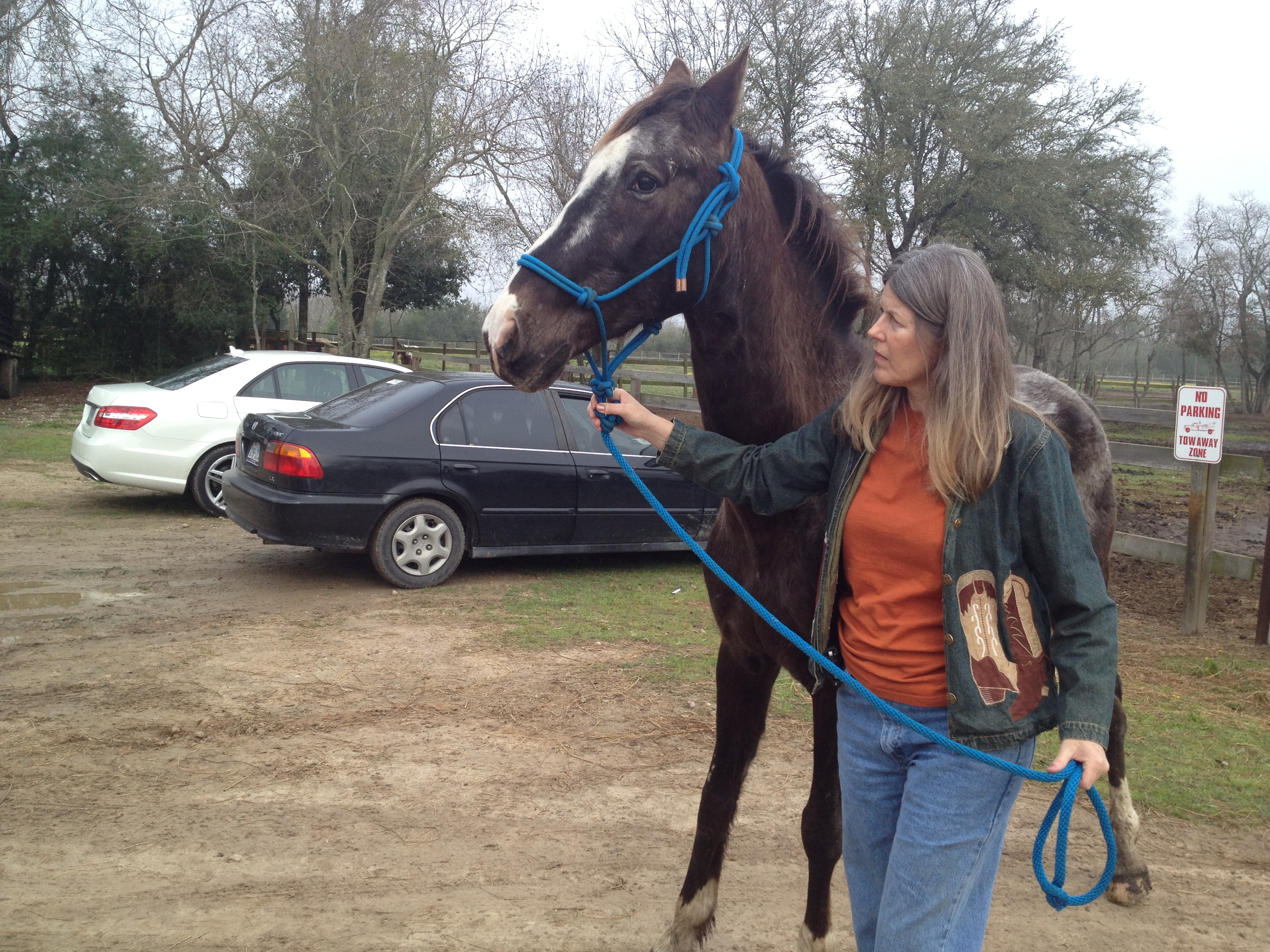 Rebecca Williams, Executive Director of Habitat Horses leads a horse to sanctuary